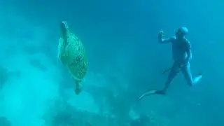 Freediving Motivation - Challenge Yourself | An Inspirational Video (HD)
