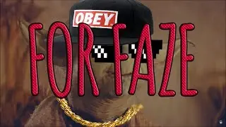 FaZe Yoda  ┐('～`；)┌  ????