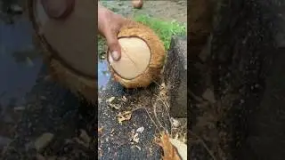 Peel fresh yellow coconut