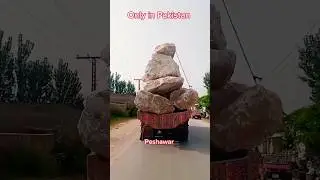 Dumb and Dangerous #driving #law #funny