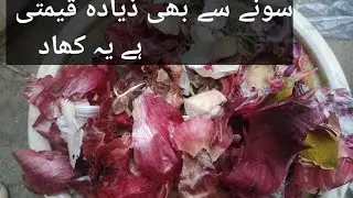 HOW TO MAKE COMPOST FERTILIZER FROM KITCEN AND GARDEN WASTE @khoobsuratnature6227