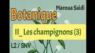 Botanique/les champignons/partie3