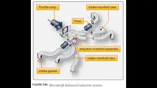 Powerplant Exhaust and Reverser Systems