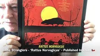 The Stranglers - &lsquo;Rattus Norvegicus&rsquo; - Published In Chile 🇨🇱 
