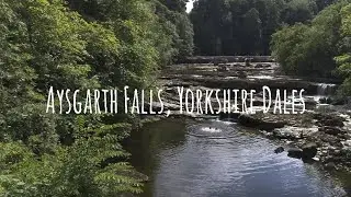 An Accessible Walk with Debbie North at Aysgarth Falls, Yorkshire Dales with AccessTOG