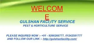 Gulshan Facility Service in Gurgaon