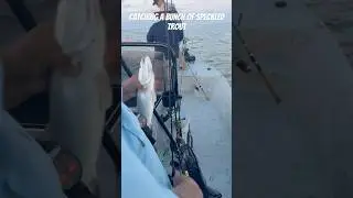 Catching a bunch of speckeled trout today