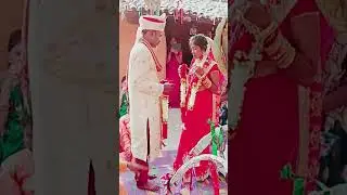 kisan tribe wedding | Indian tribal culture #indiantribes #habillakra #kisantribe #wedding #shorts