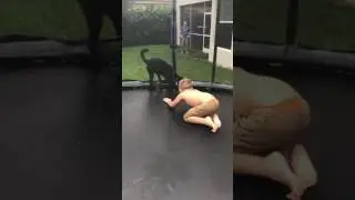 Our pup loves the trampoline!