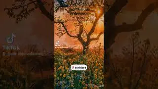 #aula&quesitos  #adrianedits #aulasgratis