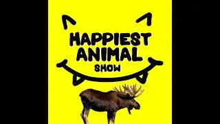 Animal Encounters Gone Wrong (with 9 year old Fable)