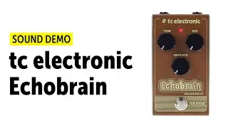 tc electronic Echobrain sound demo (no talking) wtih Novation Peak
