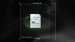 BISOU - Rewind my Selecta [SERUM PRESETS demo sound]
