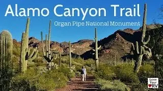 Alamo Canyon Trail - Organ Pipe National Monument