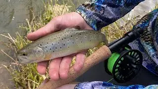 Catching my First Brown Trout on a Fly Rod! Ogden River, Utah