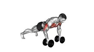 Dumbbell Plank Push Up Row： An Exercise Guide 29611201 Push up Row