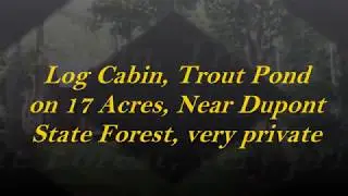 Log Cabin, Trout Pond on 17 Acres, Near Dupont State Forest, very private