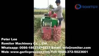 Automatic Garlic Leaf Stem Cutting Machine