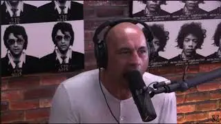 Joe Rogan Animal Noises Compilation