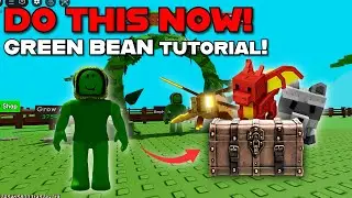 MUST DO THIS Before the ADMIN WAR! How to Get Green Beans Avatar in Grow a Garden | Roblox