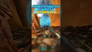 🐉🥚How To Get Your First Wyvern Egg in ARK Survival Ascended #arksurvivalascended #wyvern #shorts