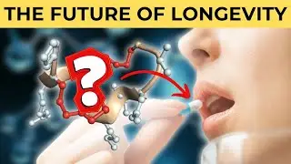 Clear up Brain Fog and BOOST Daily Function with Peptides! | BioMed CEO Trevor Kruder