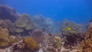 Aow Leuk Dive Site Koh Tao