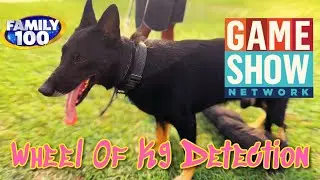 Wheel Of K9 Detection Show&hellip; Czech Shepherd Searches & Finds Narcotics.