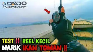 Reel Baitcasting Daido Competizione EC untuk casting ikan toman