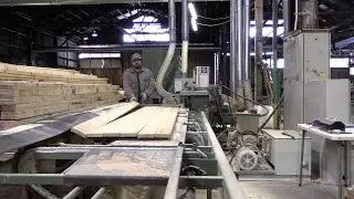 Видео: открытие новой мельницы в Sweet Home