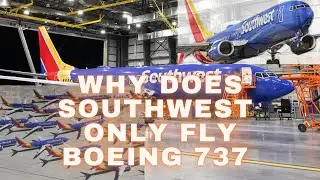 Why Southwest Only Flies the Boeing 737 &ndash; The Genius Behind the Strategy #travel #airplane #flying