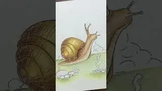 How to draw Snail | #learn to #coloring #snail #best #trendingshorts #viral #video #abstractart