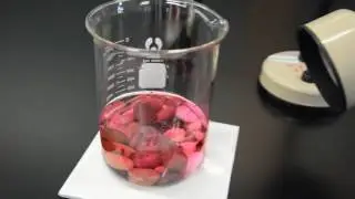 Simulation of the formation of rain