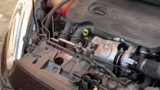 Brake Fluid - Show Me, Tell Me Questions & Answers 2020 - Ford Fiesta mark VI (2015)