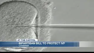 Louisiana lawmakers pushing for more IVF protection after controversial Alabama ruling