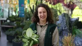 Keeping 20,000 plants in top shape!