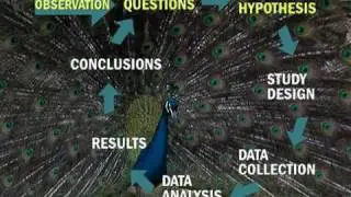 Methods of Animal Behavior Research Overview