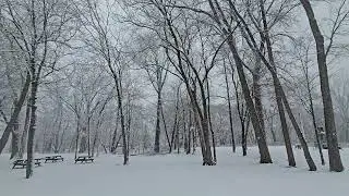 Snowy Saturday in Cresskill, NJ 