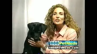 1 888 PetMeds Flea Medication Commercial 2001