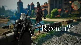Help Geralt.. I'm Stuck!  - The Witcher 3 Wild Hunt  | ShadeSoul