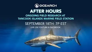 White Shark Research in Atlantic Canada with Dr. Nigel Hussey & Dr. Harley Newton