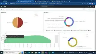 insights Automation