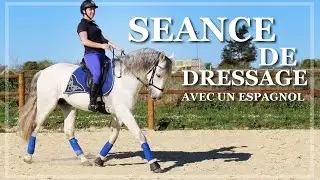 [ LIFE ] - Nouveau cheval au travail.