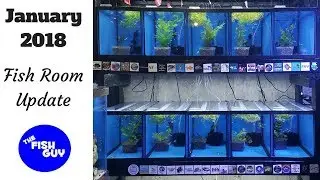 January 2018 Fish Room Update