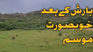 Rainy weather of kohat kacha paka |Exploring beauty of kohat|District Kohat beautiful place