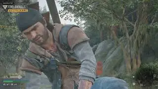 Days Gone Mission: We're getting low on meat #daysgone #walkthrough #sonyentertaiment