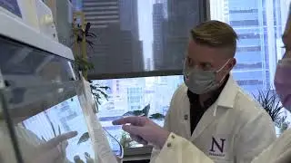 Judd Hultquist in His Lab