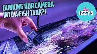 Let's Put the GOPRO Inside the FISH TANK