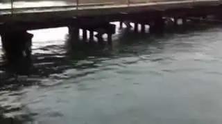 Toronto Urban Fishing 2012