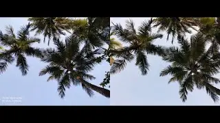 Xiaomi Redmi Note 6 Pro vs Realme 2 Pro Camera Comparison